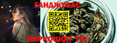 гидра Краснознаменск
