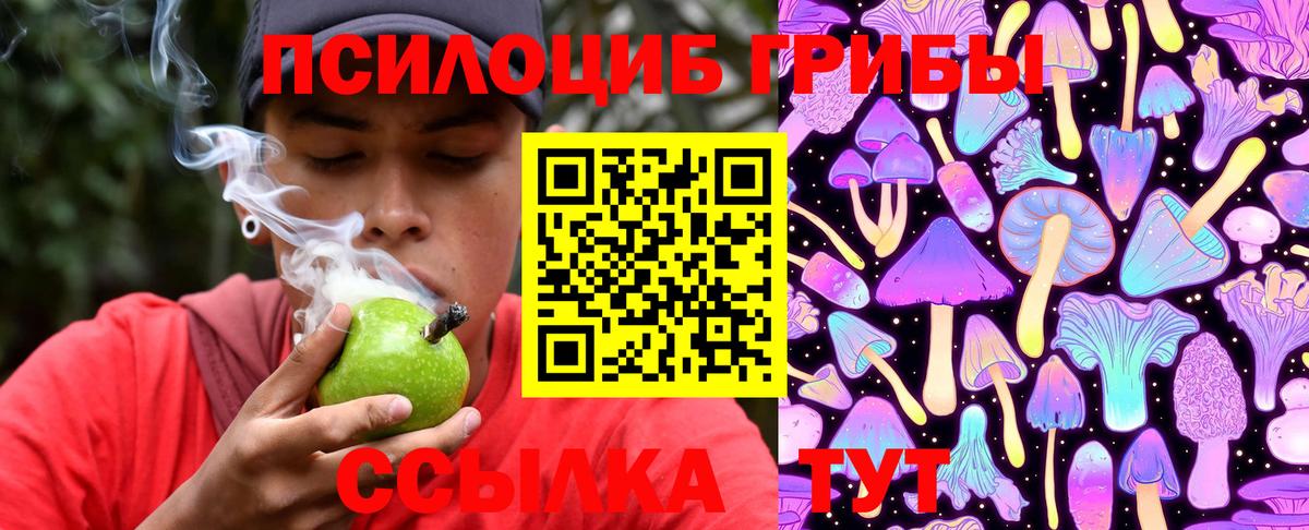 закладка  Псилоцибиновые грибы Cubensis  Вход с VPN  Кемерово 